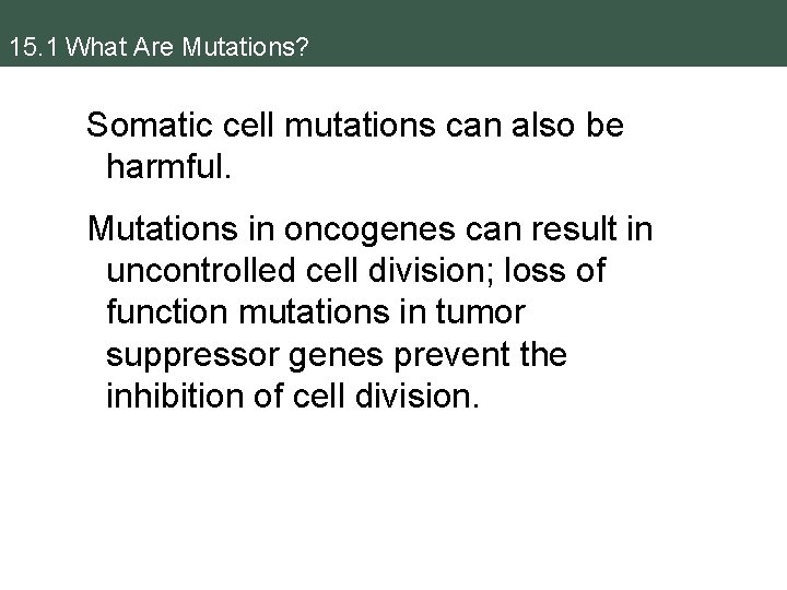 15. 1 What Are Mutations? Somatic cell mutations can also be harmful. Mutations in