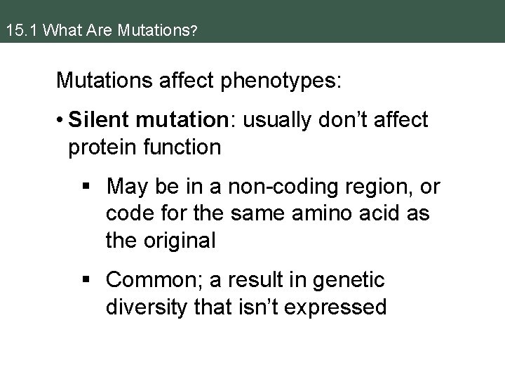 15. 1 What Are Mutations? Mutations affect phenotypes: • Silent mutation: usually don’t affect