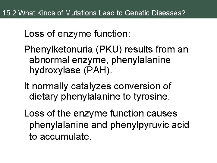 15. 2 What Kinds of Mutations Lead to Genetic Diseases? Loss of enzyme function: