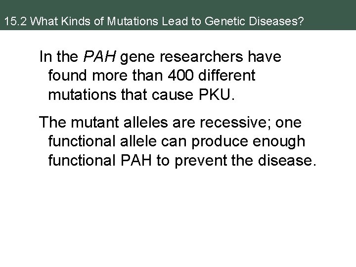 15. 2 What Kinds of Mutations Lead to Genetic Diseases? In the PAH gene