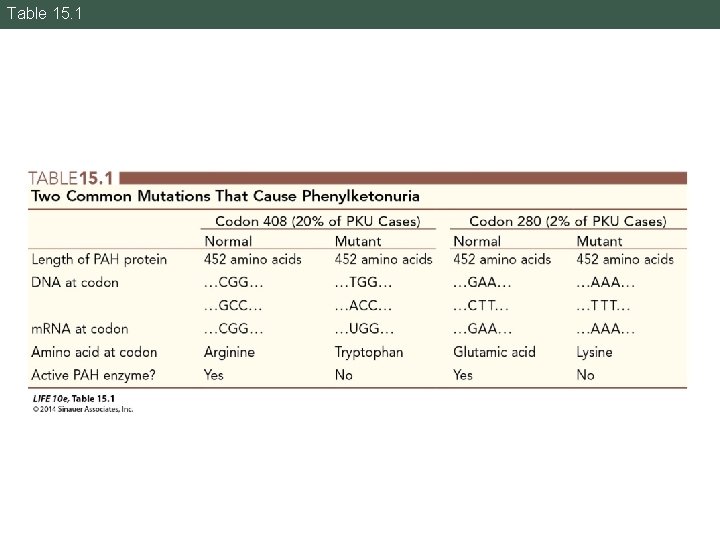 Table 15. 1 