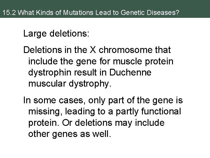 15. 2 What Kinds of Mutations Lead to Genetic Diseases? Large deletions: Deletions in