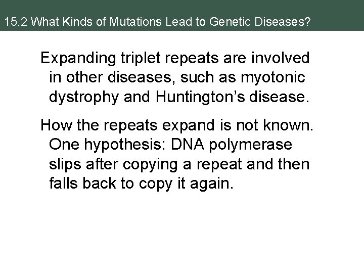 15. 2 What Kinds of Mutations Lead to Genetic Diseases? Expanding triplet repeats are