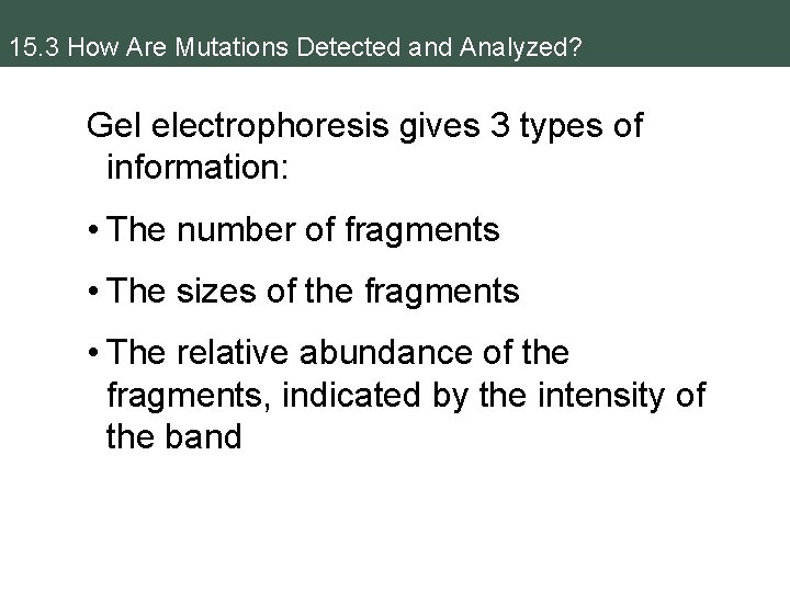 15. 3 How Are Mutations Detected and Analyzed? Gel electrophoresis gives 3 types of