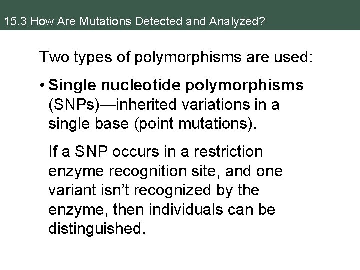 15. 3 How Are Mutations Detected and Analyzed? Two types of polymorphisms are used: