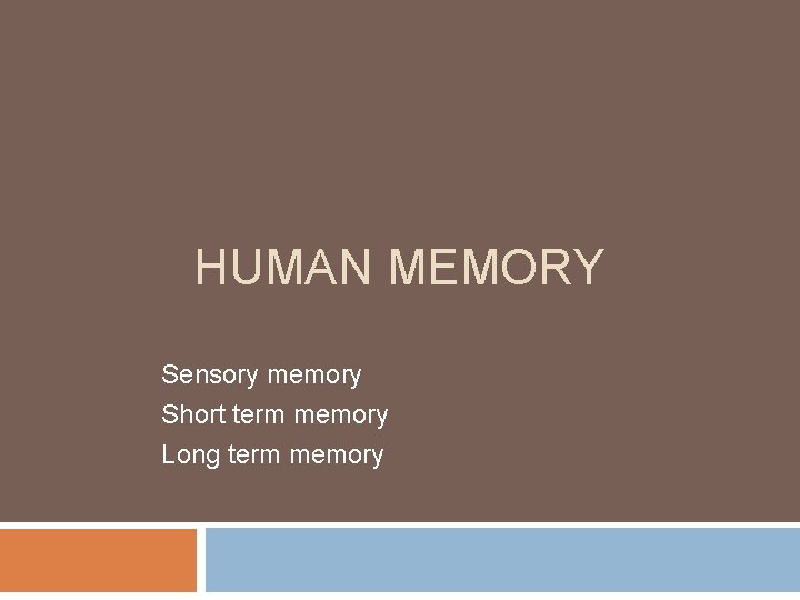 HUMAN MEMORY Sensory memory Short term memory Long term memory 