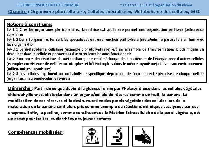 SECONDE ENSEIGNEMENT COMMUN ▪ La Terre, la vie et l’organisation du vivant Chapitre :