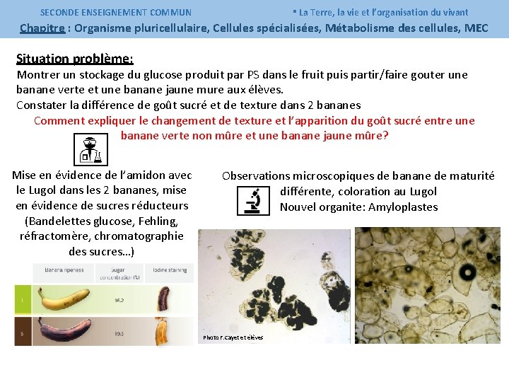 SECONDE ENSEIGNEMENT COMMUN ▪ La Terre, la vie et l’organisation du vivant Chapitre :