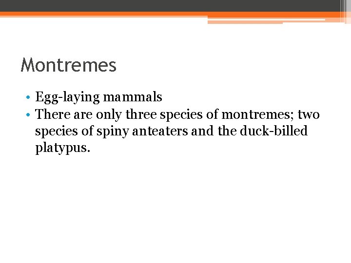 Montremes • Egg-laying mammals • There are only three species of montremes; two species