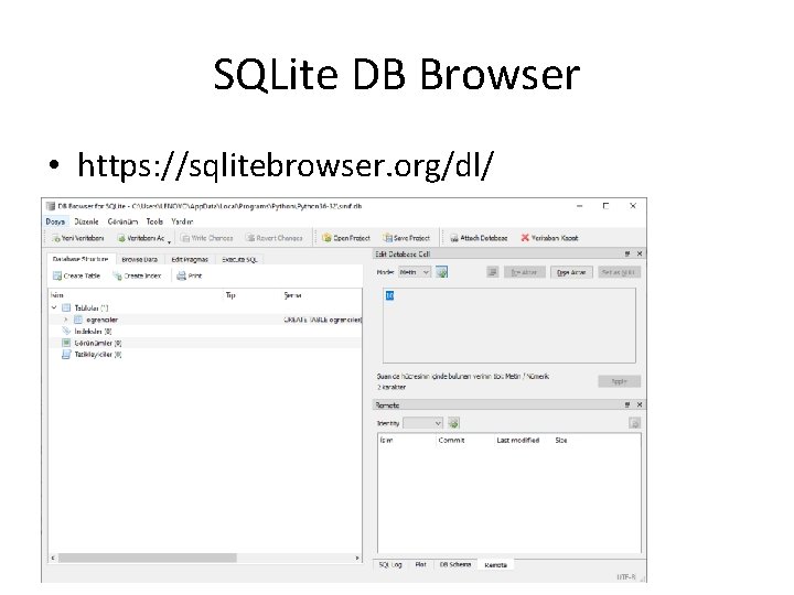 SQLite DB Browser • https: //sqlitebrowser. org/dl/ 