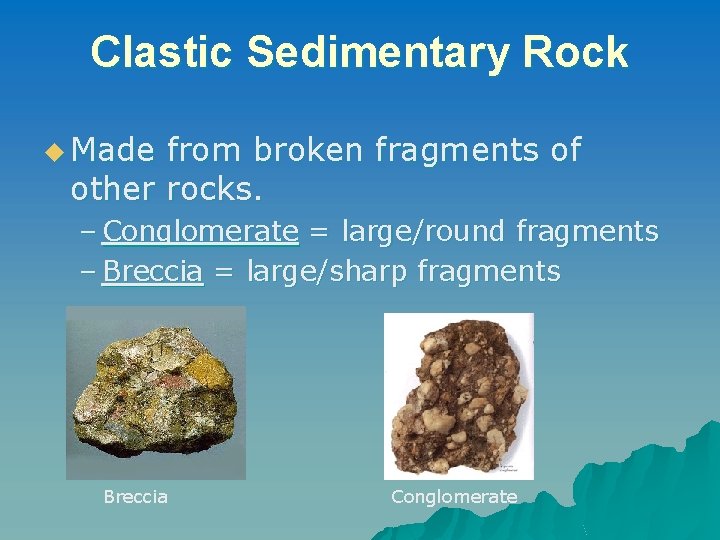 Clastic Sedimentary Rock u Made from broken fragments of other rocks. – Conglomerate =