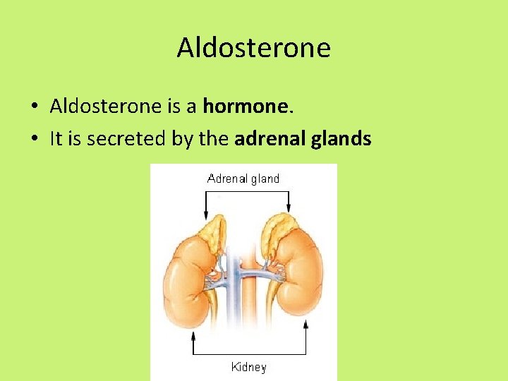 Aldosterone • Aldosterone is a hormone. • It is secreted by the adrenal glands