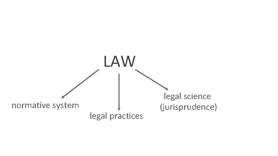 LAW normative system legal practices legal science (jurisprudence) 