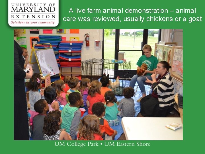 A live farm animal demonstration – animal care was reviewed, usually chickens or a A live farm animal demonstration – animal care was reviewed, usually chickens or a