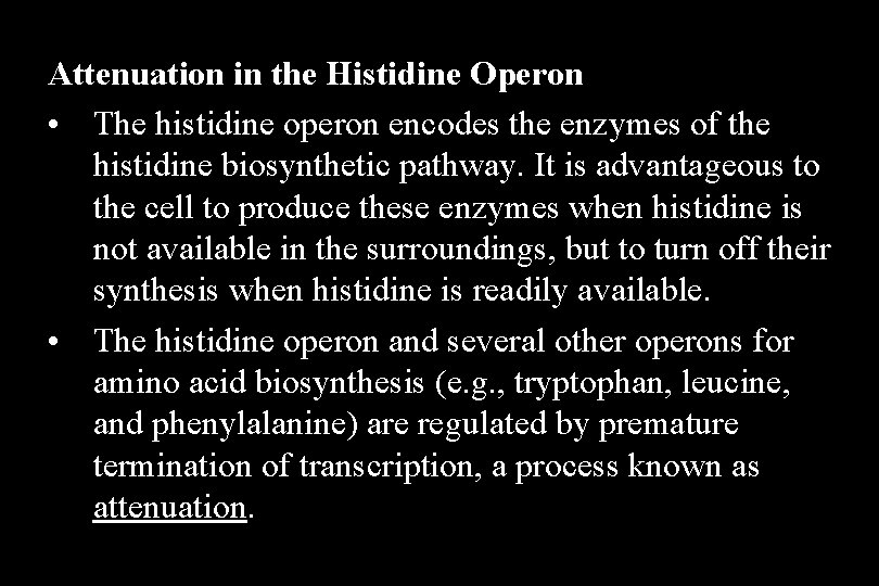 Attenuation in the Histidine Operon • The histidine operon encodes the enzymes of the