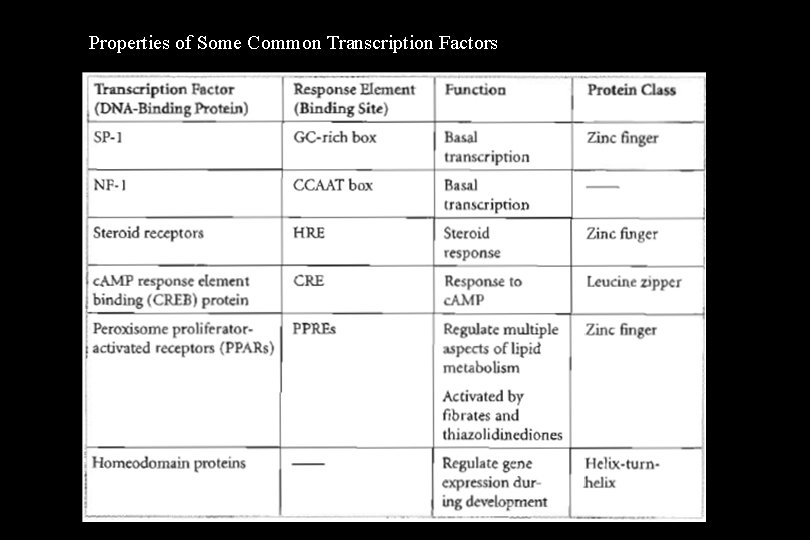 Properties of Some Common Transcription Factors 