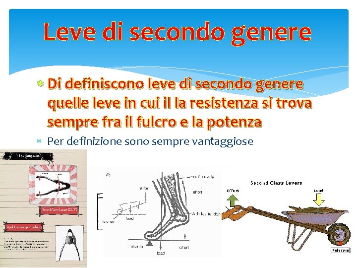 Leve di secondo genere Di definiscono leve di secondo genere quelle leve in cui