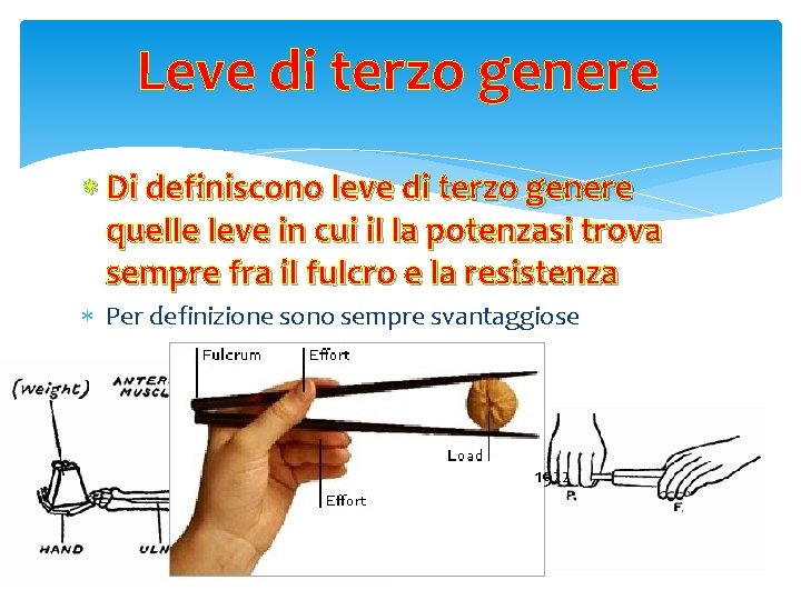 Leve di terzo genere Di definiscono leve di terzo genere quelle leve in cui