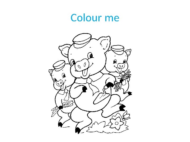 Colour me 