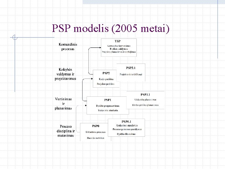 PSP modelis (2005 metai) 