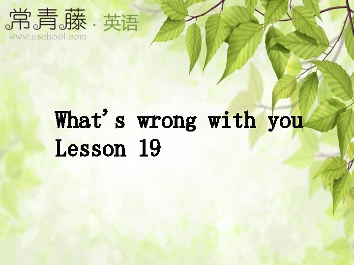 What's wrong with you Lesson 19 