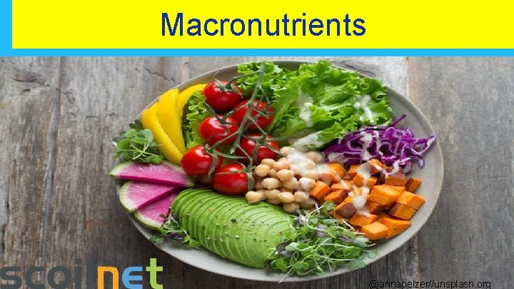 Macronutrients @annapelzer//unsplash. org 