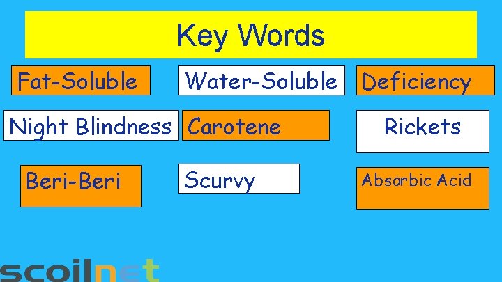 Key Words Fat-Soluble Water-Soluble Night Blindness Carotene Beri-Beri Scurvy Deficiency Rickets Absorbic Acid 