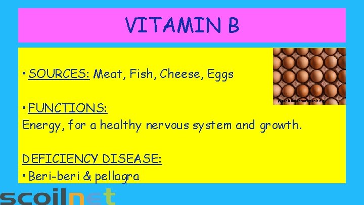 VITAMIN B • SOURCES: Meat, Fish, Cheese, Eggs @erolahmed/unsplash. org • FUNCTIONS: Energy, for