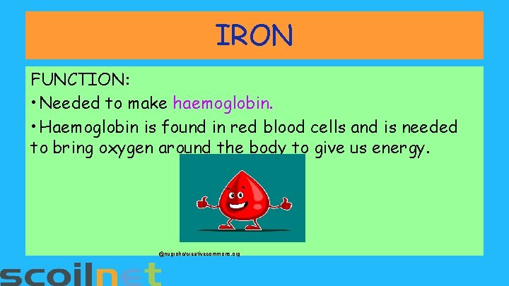 IRON FUNCTION: • Needed to make haemoglobin. • Haemoglobin is found in red blood