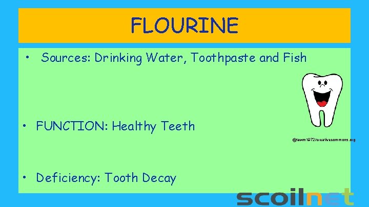 FLOURINE • Sources: Drinking Water, Toothpaste and Fish • FUNCTION: Healthy Teeth @tawm 1972/creativecommons.