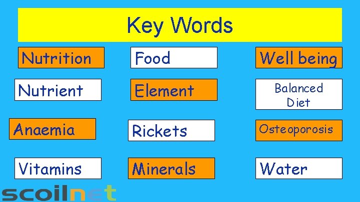 Key Words Nutrition Food Nutrient Element Anaemia Vitamins Well being Balanced Diet Rickets Osteoporosis