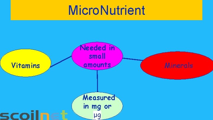 Micro. Nutrient Vitamins Needed in small amounts Measured in mg or μg Minerals 