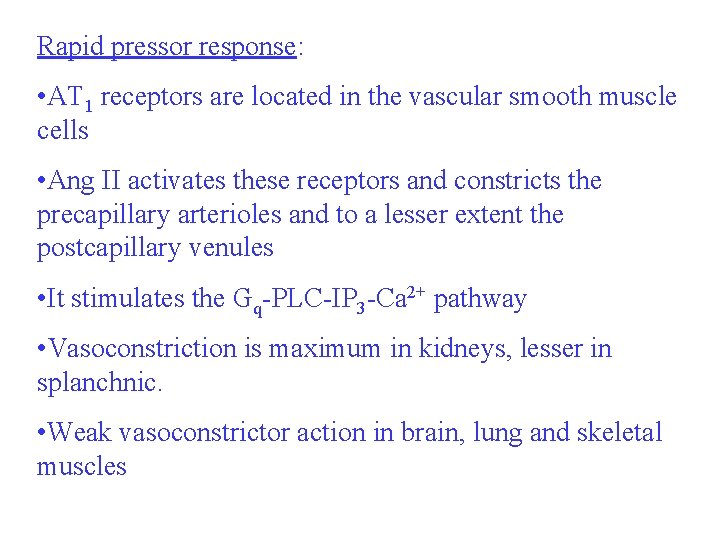 Rapid pressor response: • AT 1 receptors are located in the vascular smooth muscle