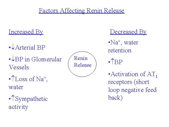 Factors Affecting Renin Release Increased By Decreased By • Na+, water retention • Arterial