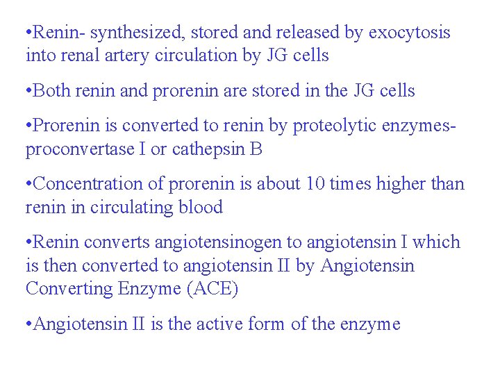  • Renin- synthesized, stored and released by exocytosis into renal artery circulation by