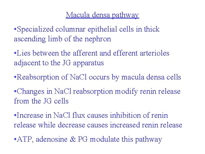 Macula densa pathway • Specialized columnar epithelial cells in thick ascending limb of the