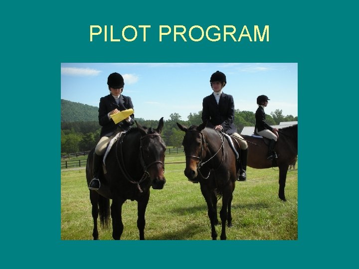 PILOT PROGRAM 