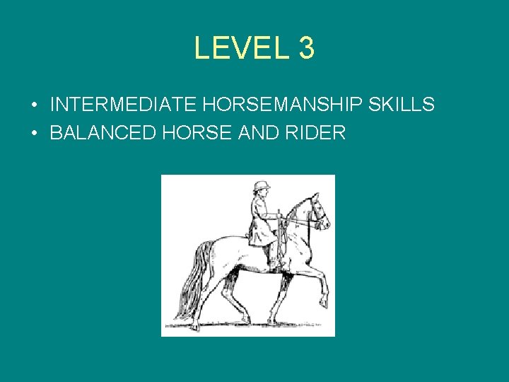 LEVEL 3 • INTERMEDIATE HORSEMANSHIP SKILLS • BALANCED HORSE AND RIDER 