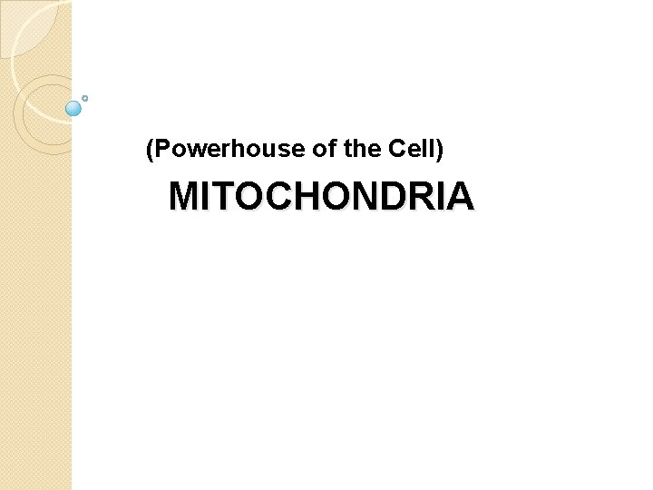  (Powerhouse of the Cell) MITOCHONDRIA 