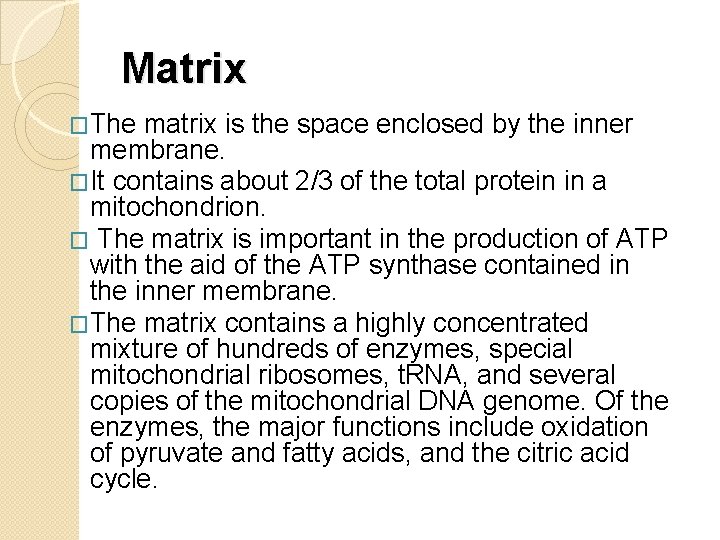 Matrix �The matrix is the space enclosed by the inner membrane. �It contains about