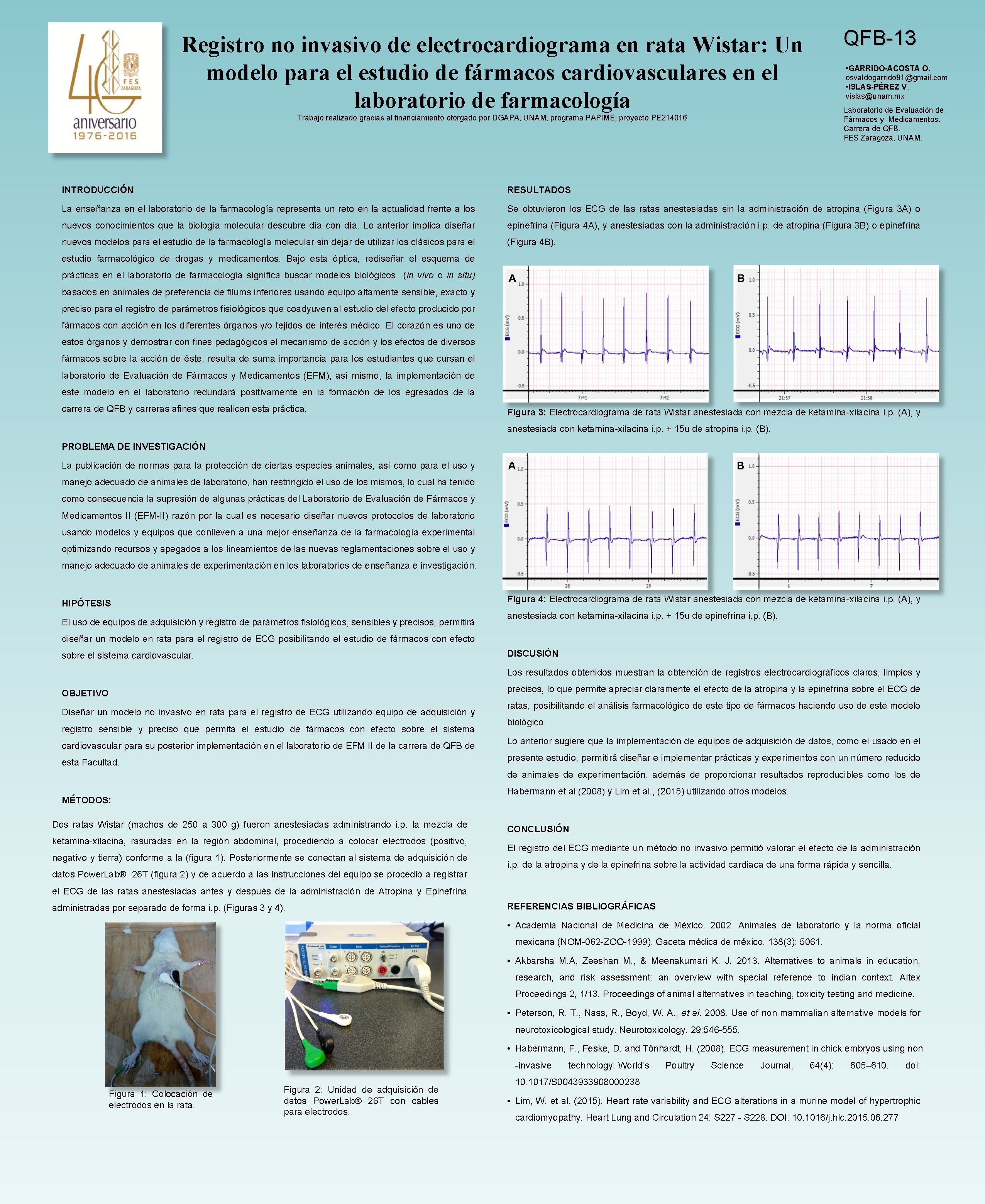 QFB-13 Registro no invasivo de electrocardiograma en rata Wistar: Un modelo para el estudio