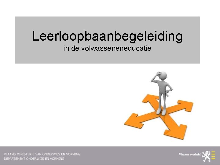 Leerloopbaanbegeleiding in de volwasseneneducatie 