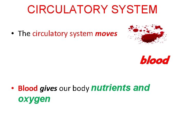 CIRCULATORY SYSTEM • The circulatory system moves blood • Blood gives our body nutrients