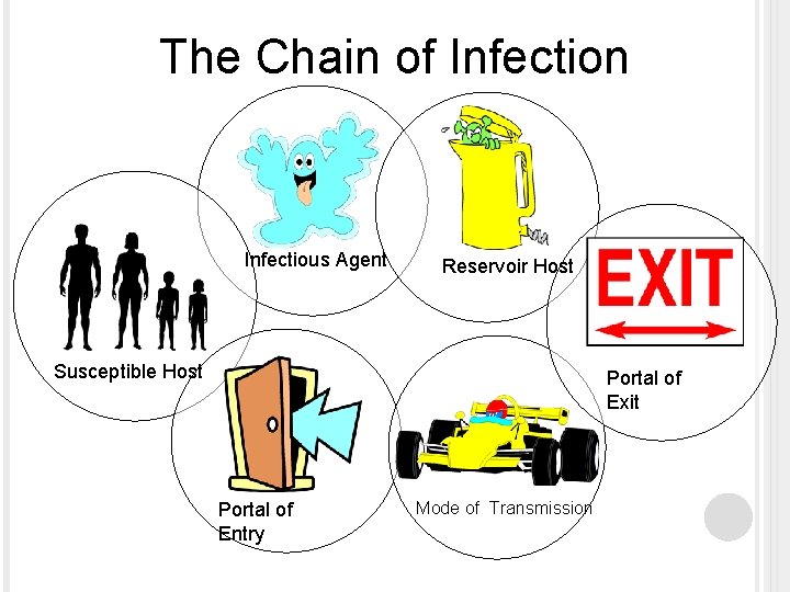 The Chain of Infection Infectious Agent Reservoir Host Susceptible Host Portal of Exit Portal