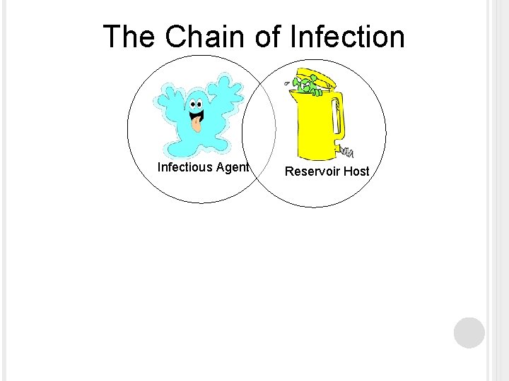 The Chain of Infection Infectious Agent Reservoir Host 