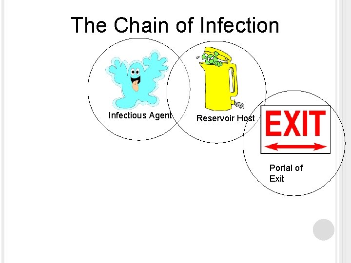 The Chain of Infection Infectious Agent Reservoir Host Portal of Exit 