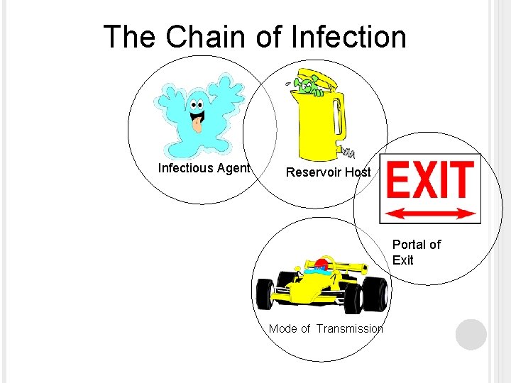 The Chain of Infection Infectious Agent Reservoir Host Portal of Exit Mode of Transmission