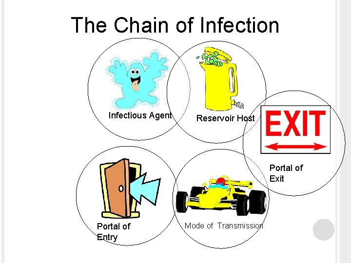 The Chain of Infection Infectious Agent Reservoir Host Portal of Exit Portal of Entry