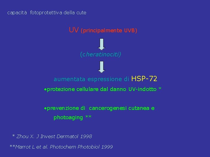 capacità fotoprotettiva della cute UV (principalmente UVB) (cheratinociti) aumentata espressione di HSP-72 • protezione