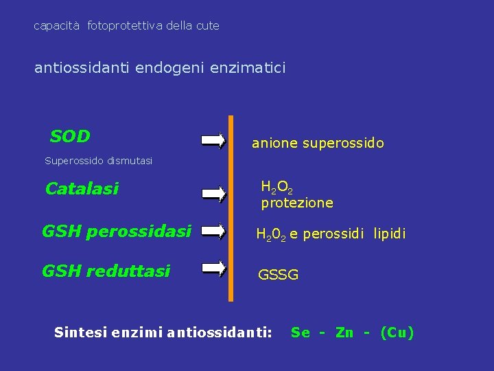 capacità fotoprotettiva della cute antiossidanti endogeni enzimatici SOD anione superossido Superossido dismutasi Catalasi H